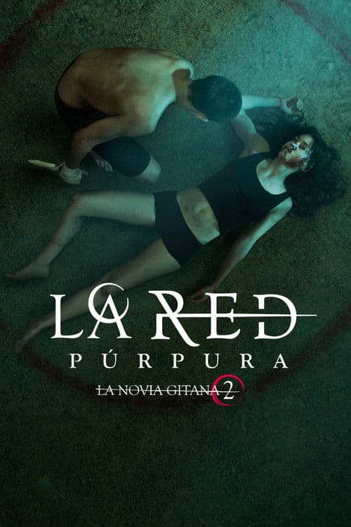 Pôster de La red púrpura
