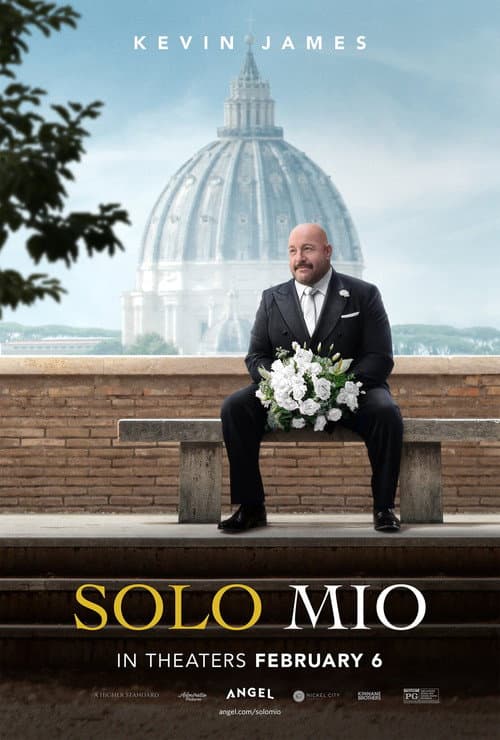 Póster de Una novia para mi boda