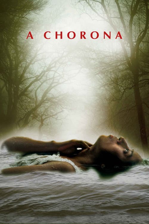 Póster de La Llorona
