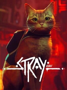 Pôster de Stray